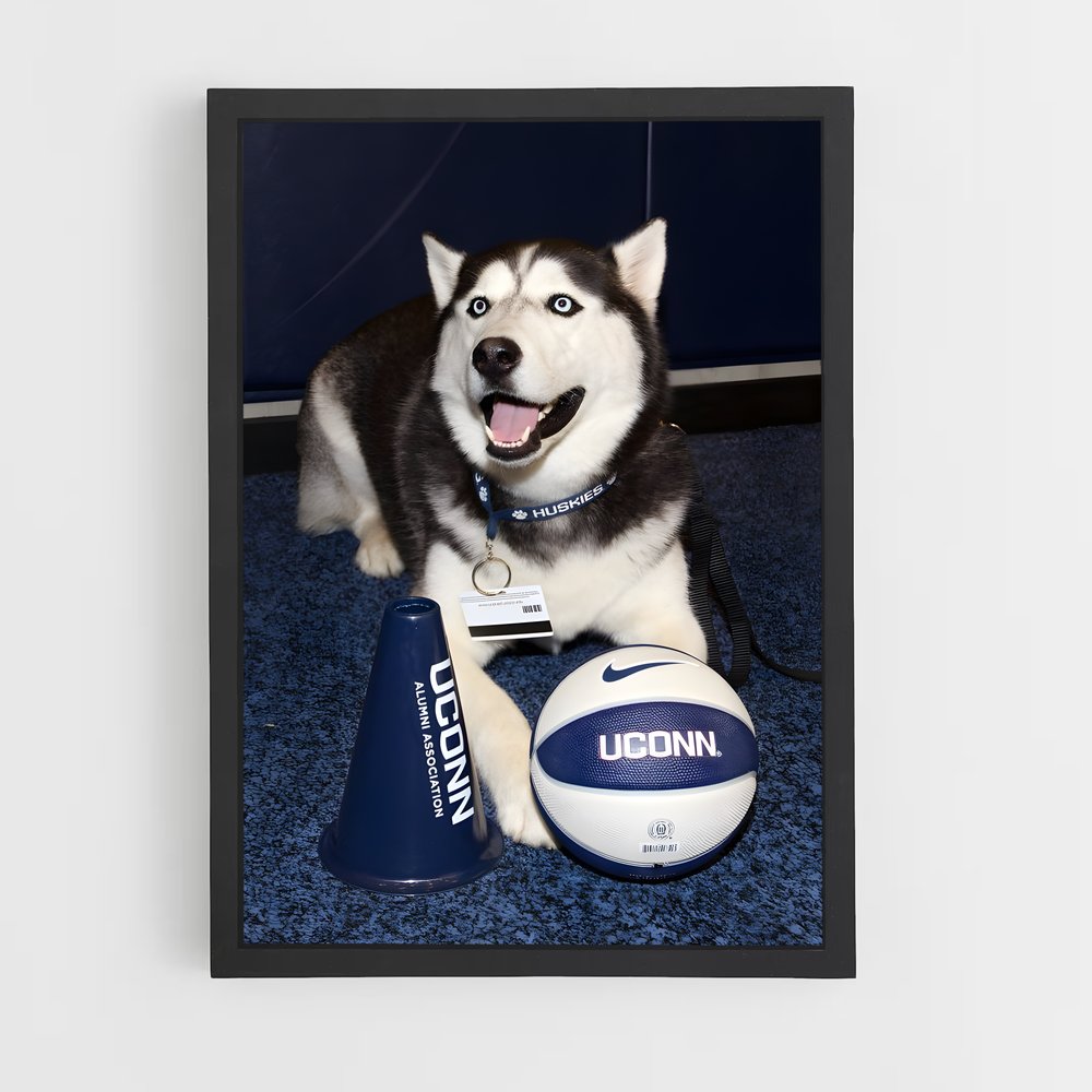 ap-uconn huskies-4 cadre Noir