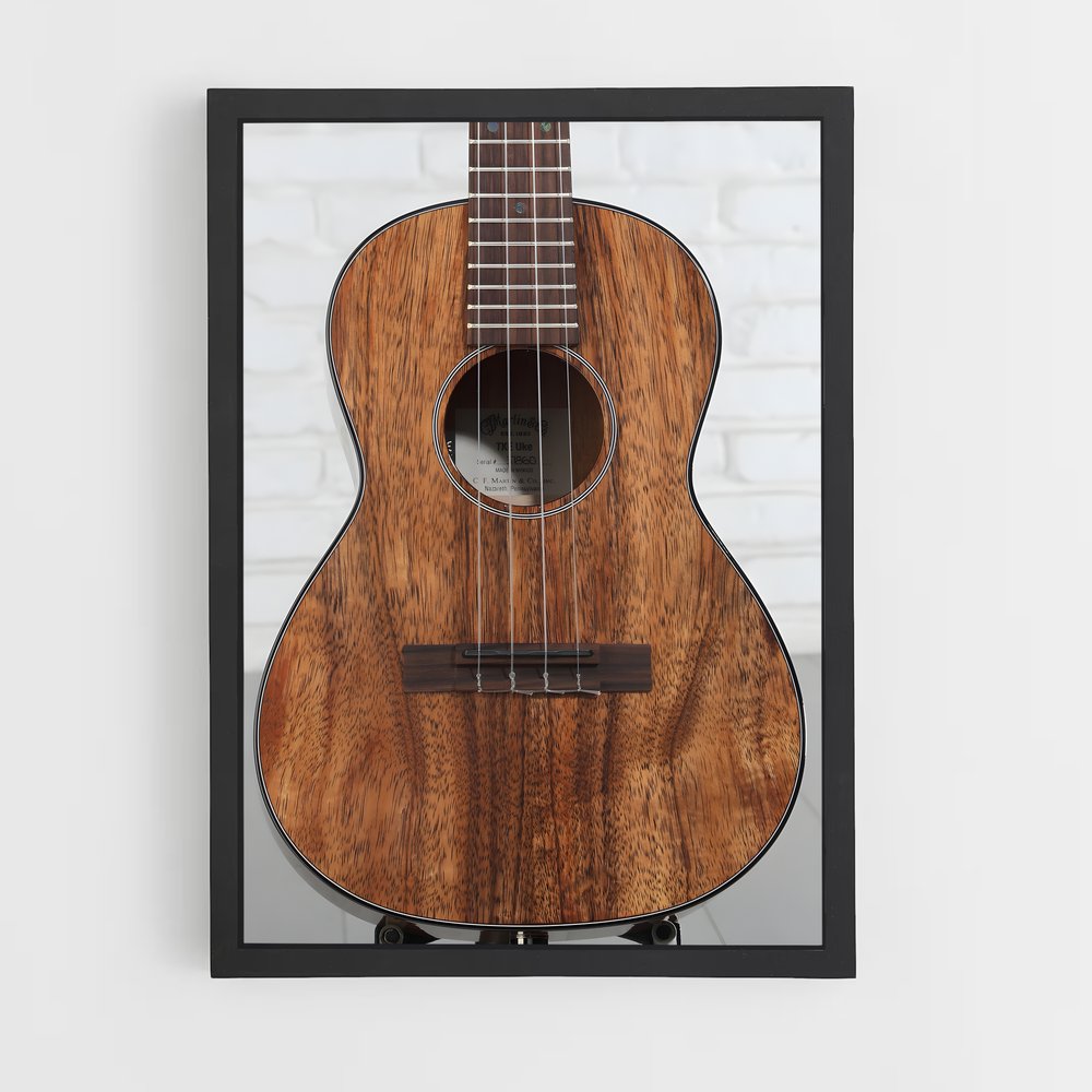 ap-ukulele-3 cadre Noir