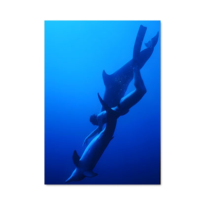 Poster Danse des Mantas
