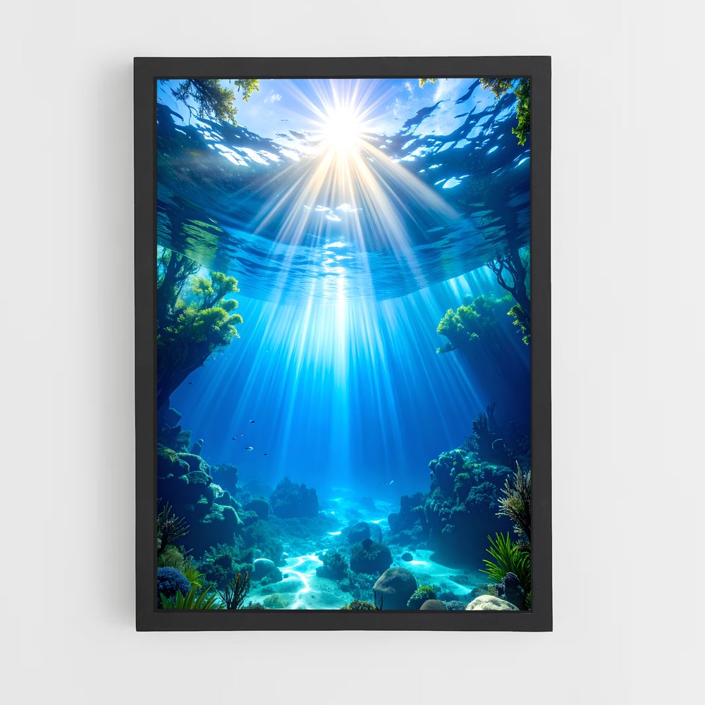 ap-underwater-13 cadre Noir