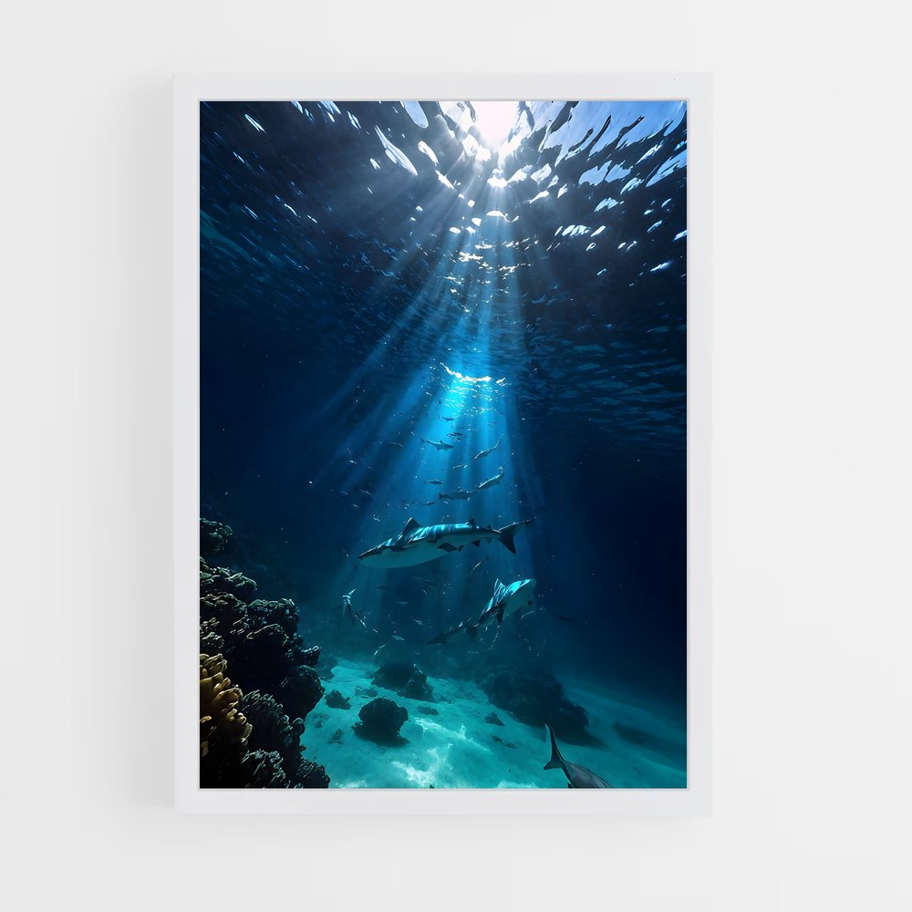 ap-underwater-2 cadre Blanc