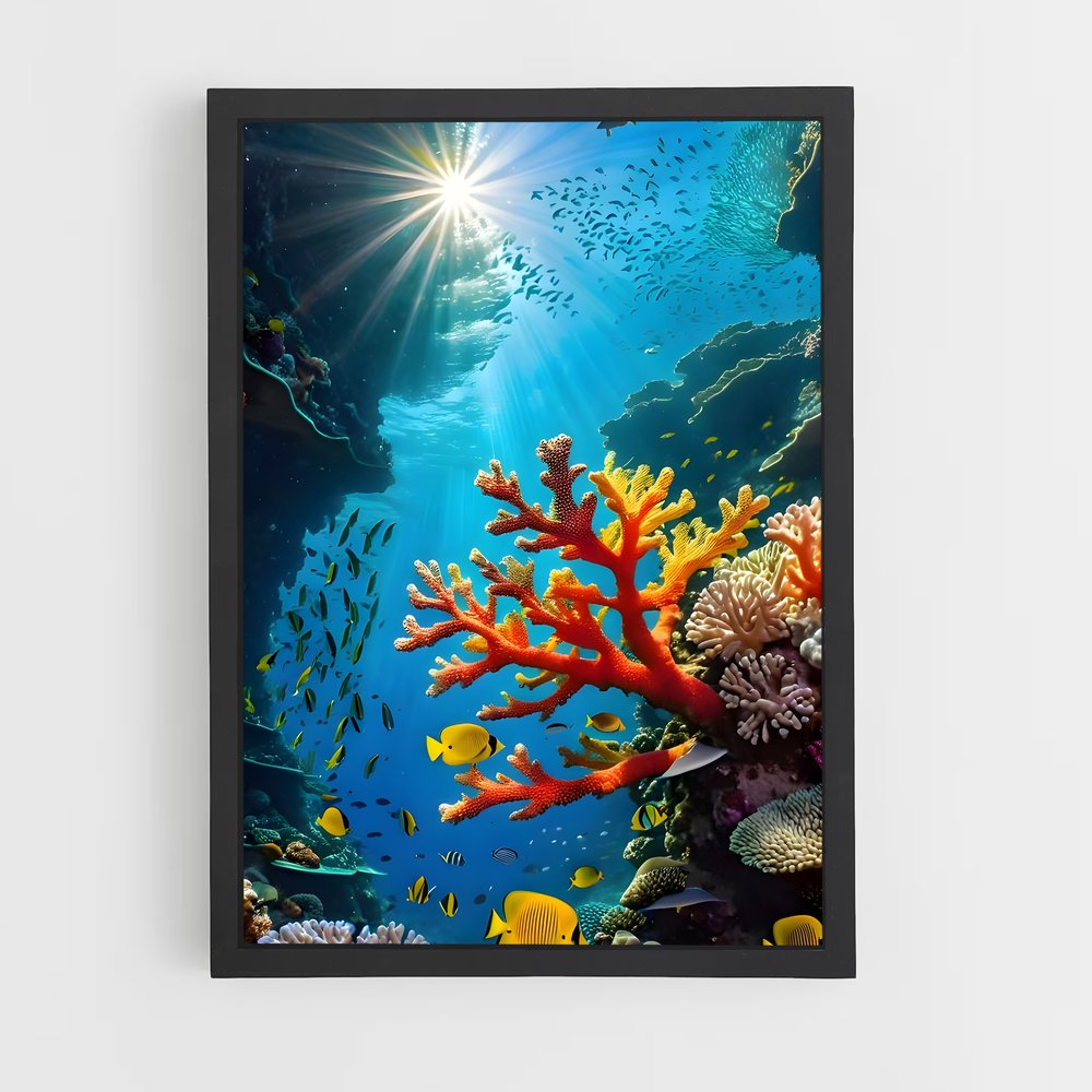ap-underwater-20 cadre Noir