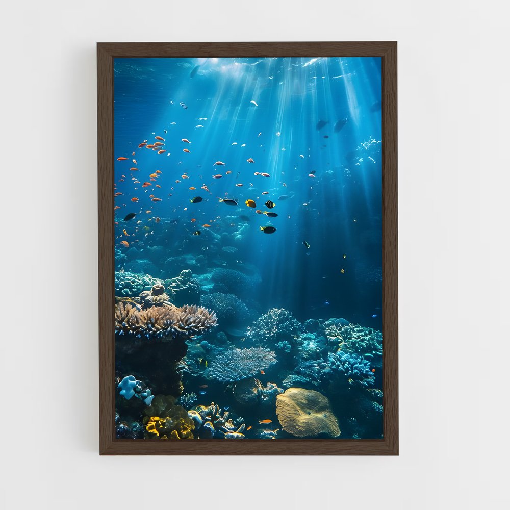 ap-underwater-8 cadre Bois foncé