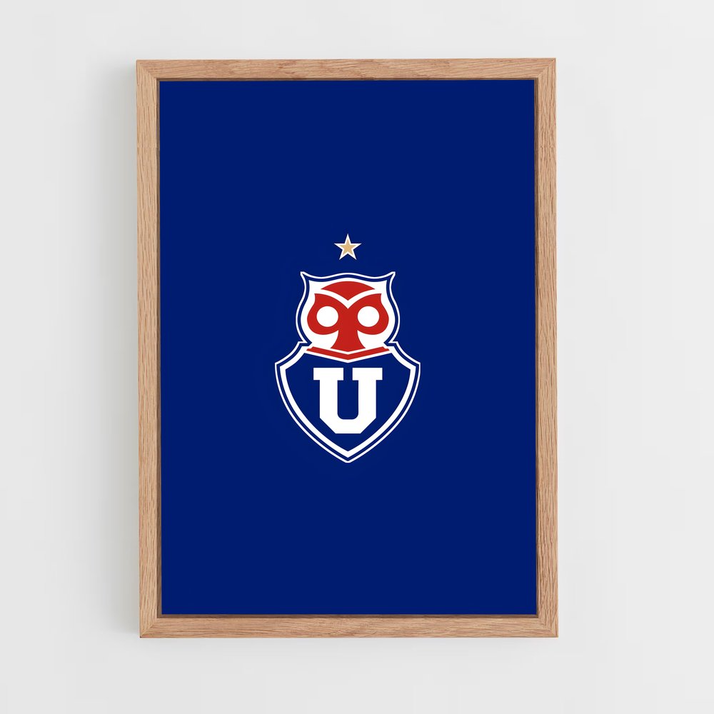 ap-universidad de chile football club-1 cadre Bois clair