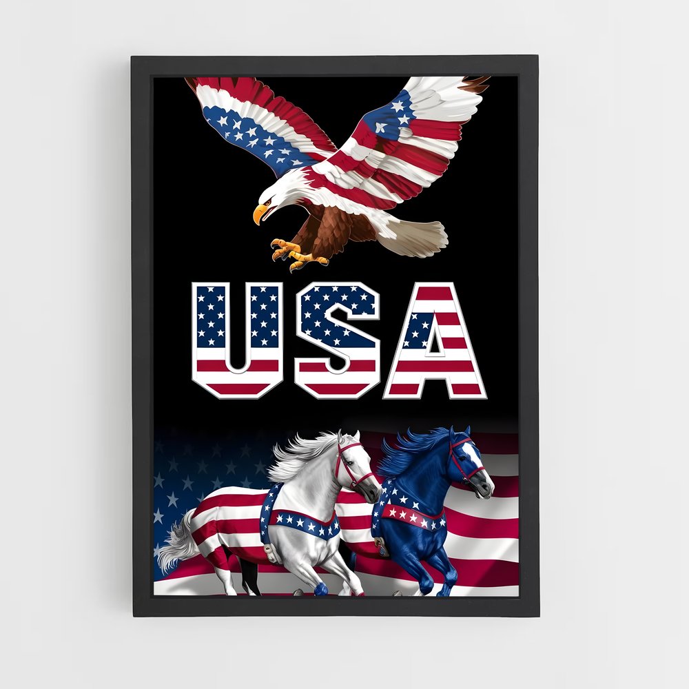 ap-usa today-6 cadre Noir