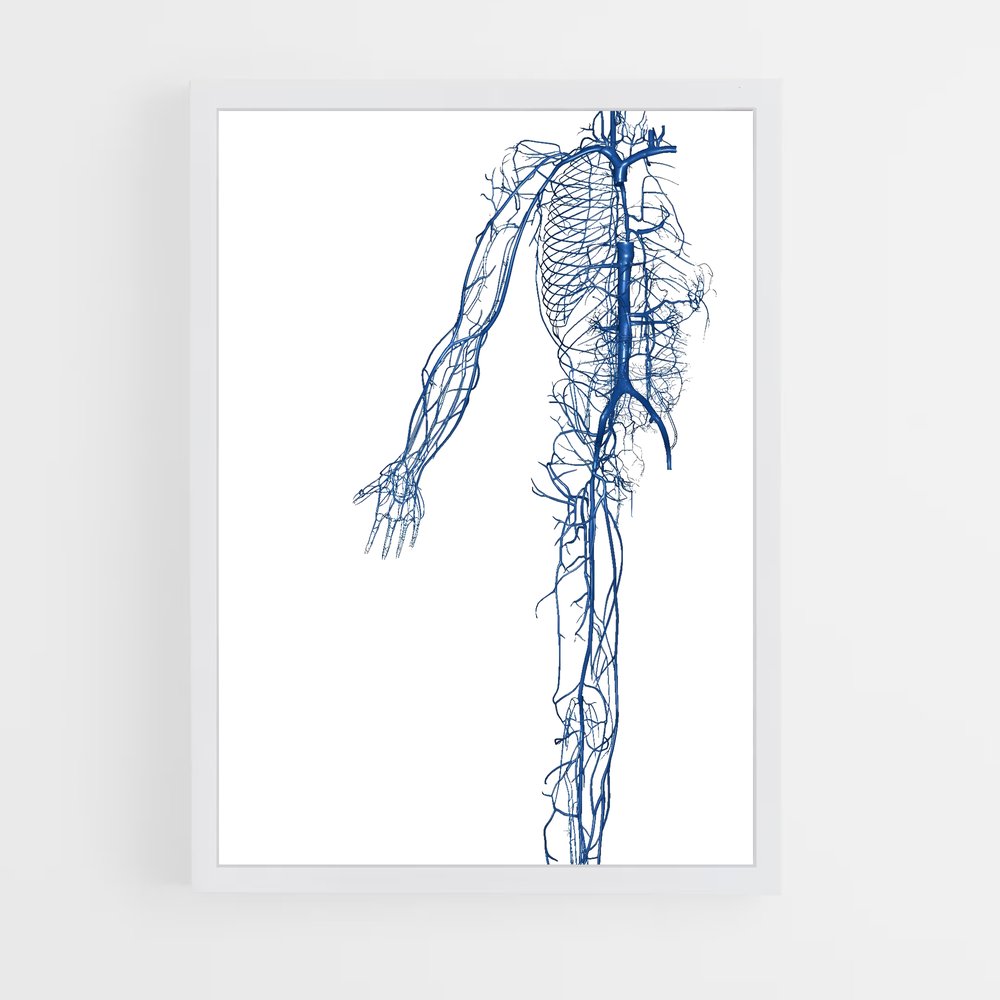 ap-vein-2 cadre Blanc