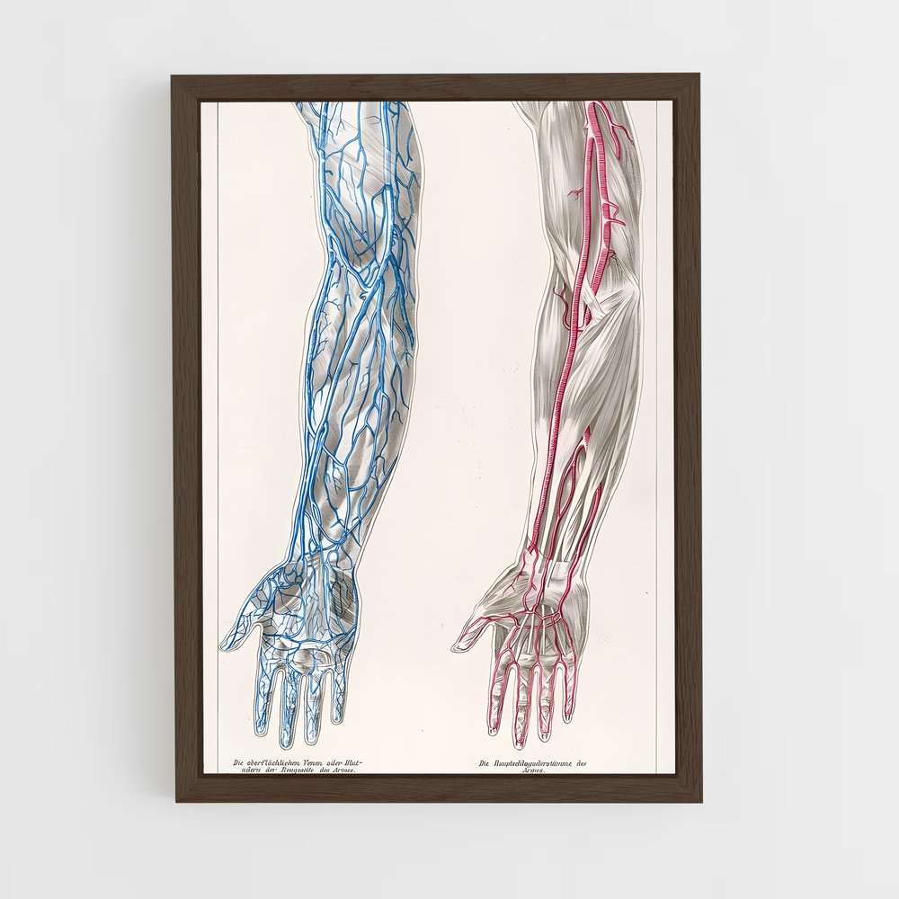 ap-vein-3 cadre Bois foncé