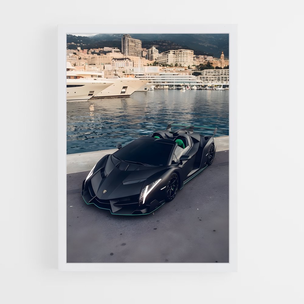 ap-veneno roadster-2 cadre Blanc