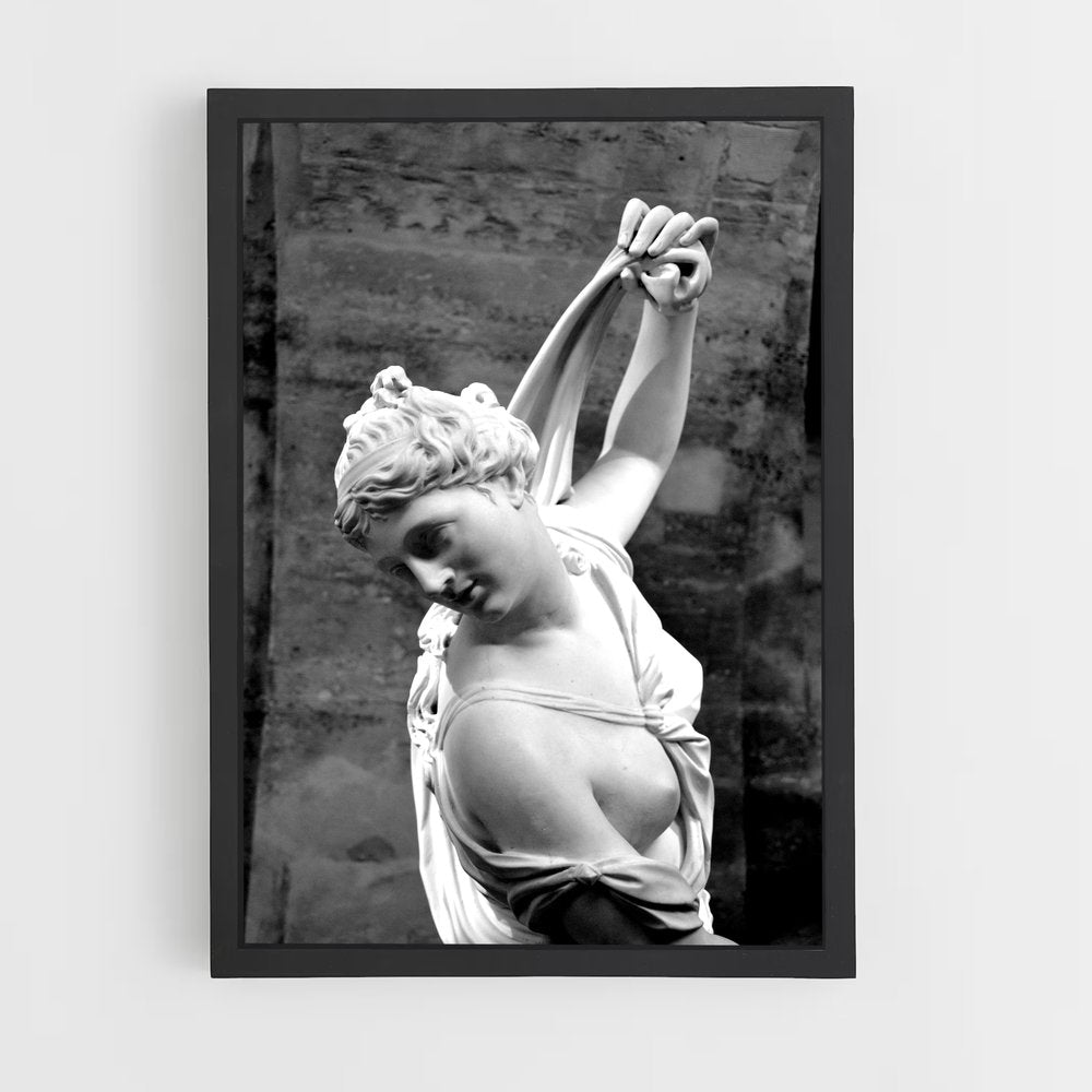 ap-venus callipyge-4 cadre Noir