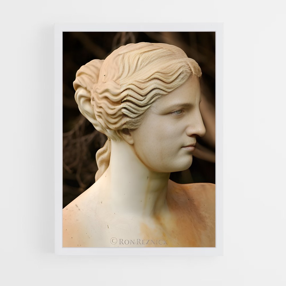 ap-venus de milo-6 cadre Blanc