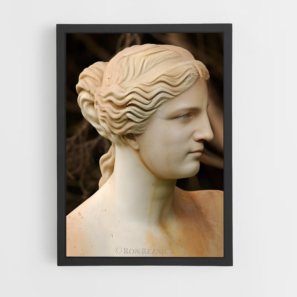 ap-venus de milo-6 cadre Noir