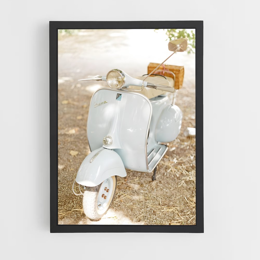 ap-vespa-5 cadre Noir