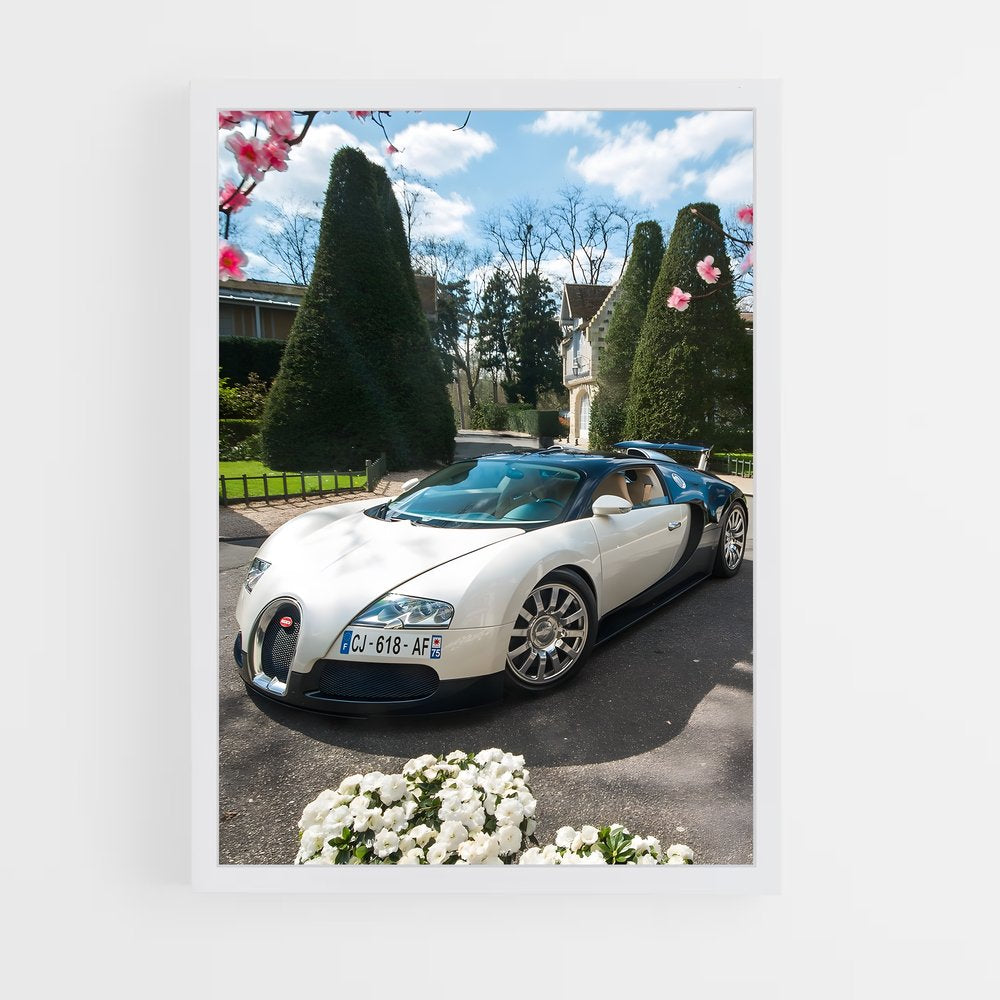 ap-veyron grand sport-3 cadre Blanc