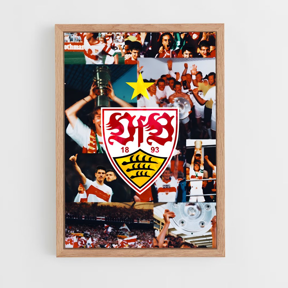 ap-vfb stuttgart-1 cadre Bois clair