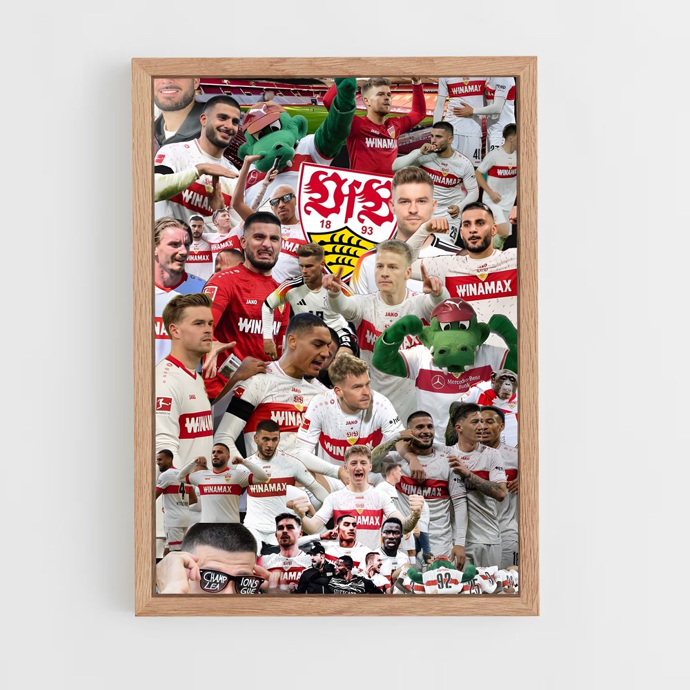 ap-vfb stuttgart-2 cadre Bois clair