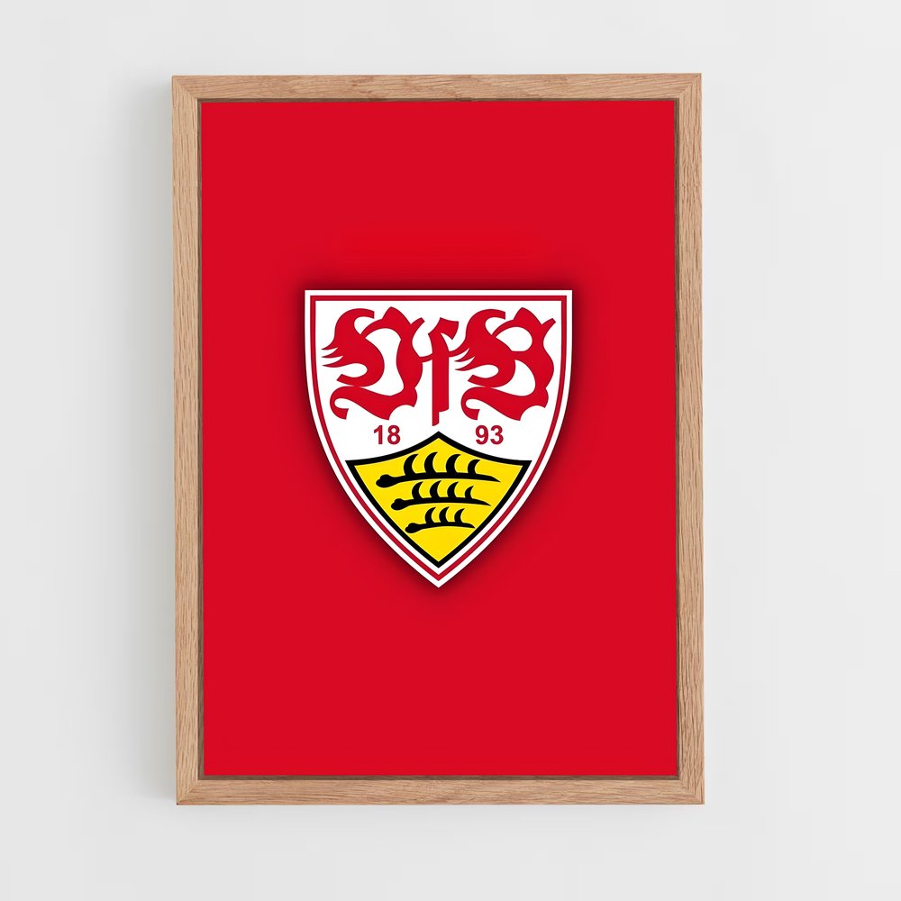 ap-vfb stuttgart-9 cadre Bois clair