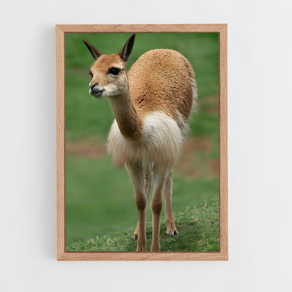 ap-vicuna-2 cadre Bois clair