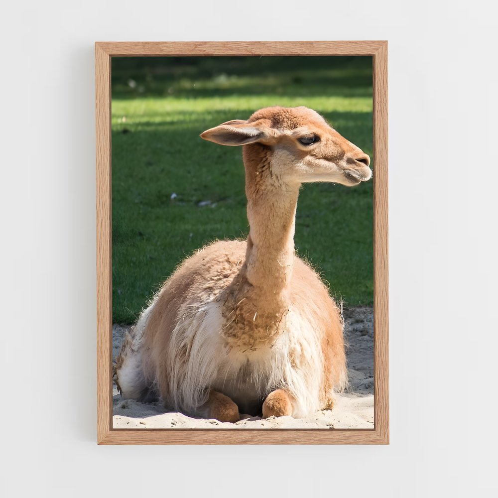 ap-vicuna-6 cadre Bois clair
