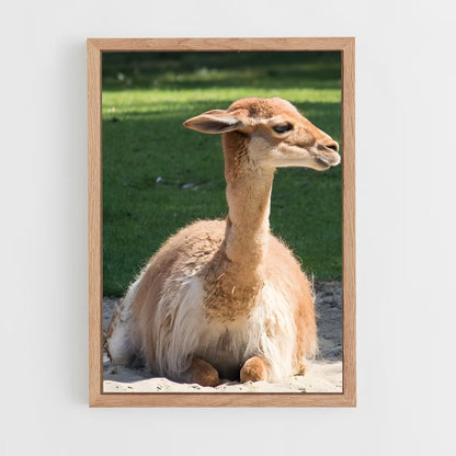 ap-vicuna-6 cadre Bois clair