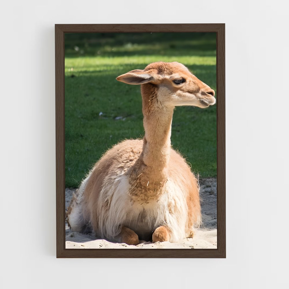 ap-vicuna-6 cadre Bois foncé