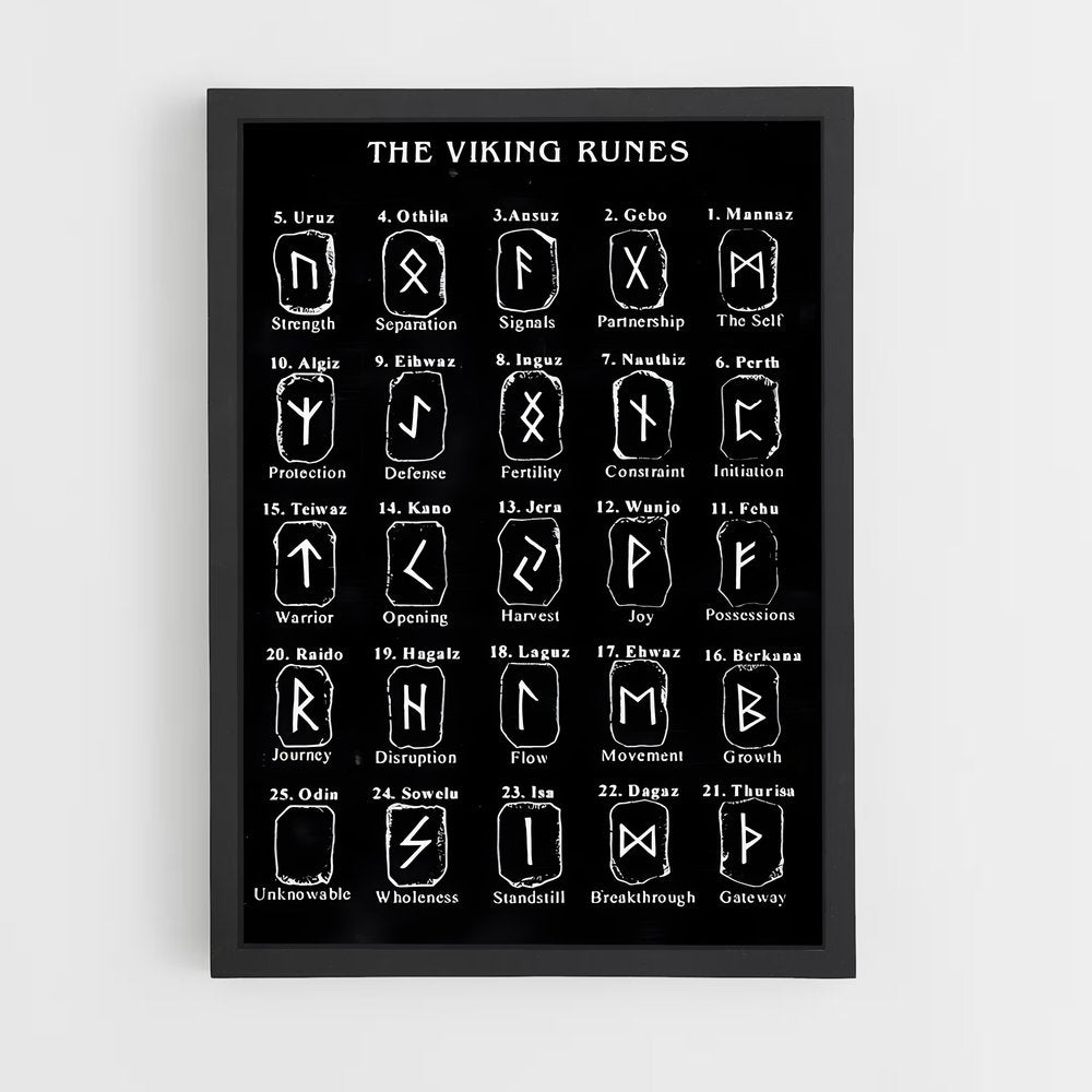 ap-viking runes-1 cadre Noir