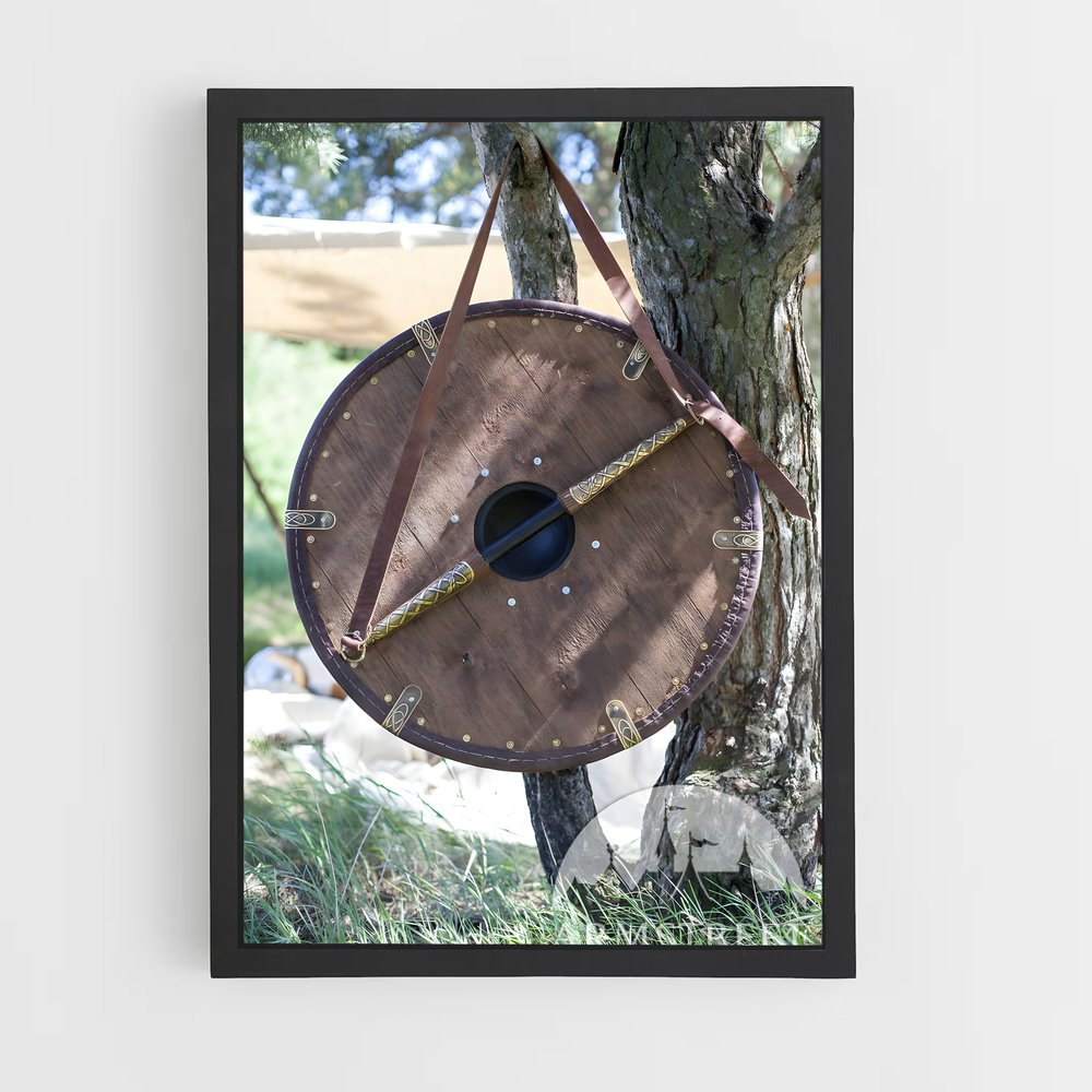 ap-viking shield-2 cadre Noir