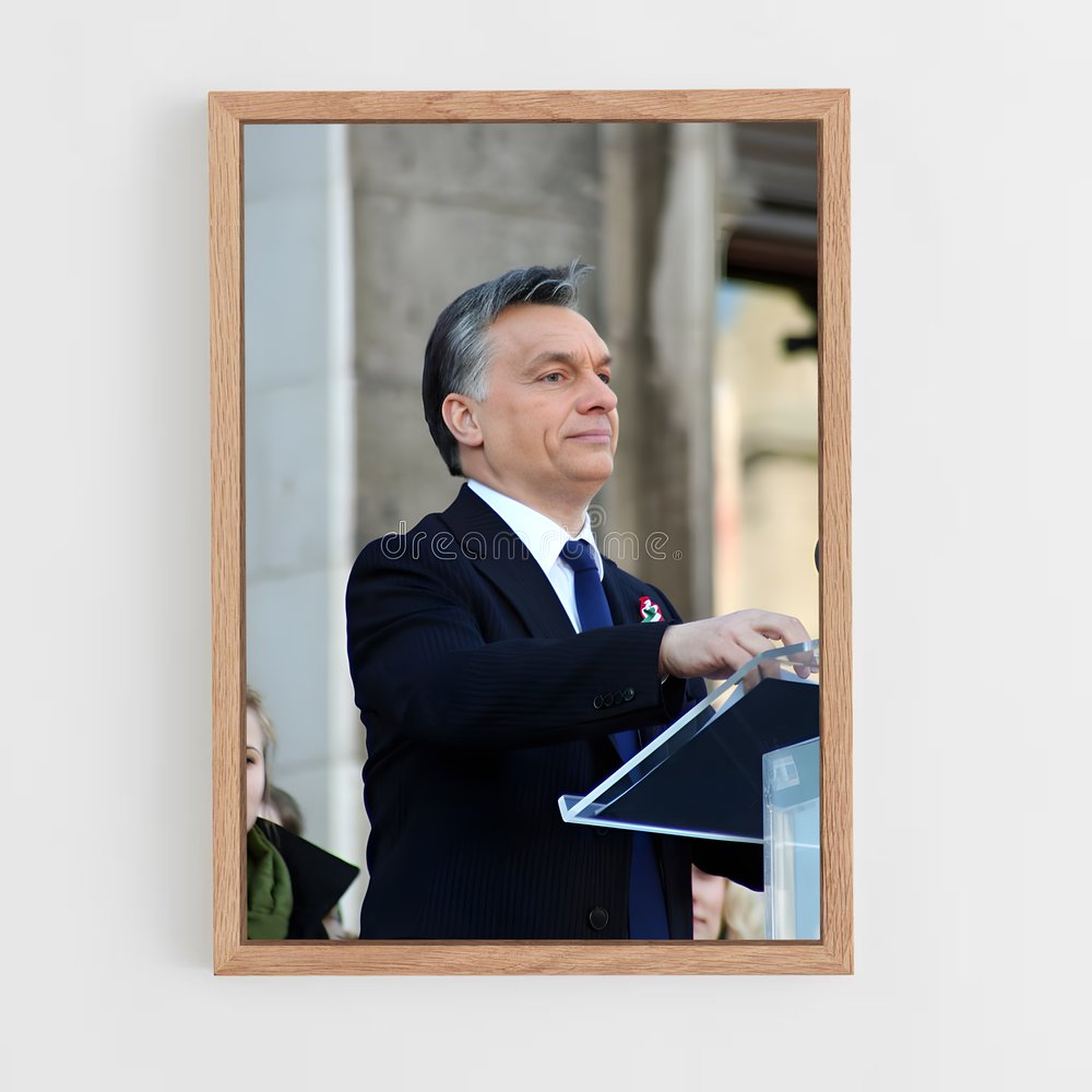 ap-viktor orban-1 cadre Bois clair