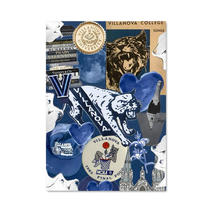 Poster Villanova wildcats 60563