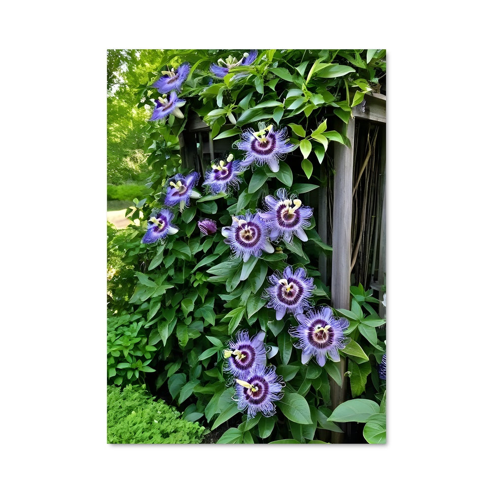 Poster Fleur de Bois