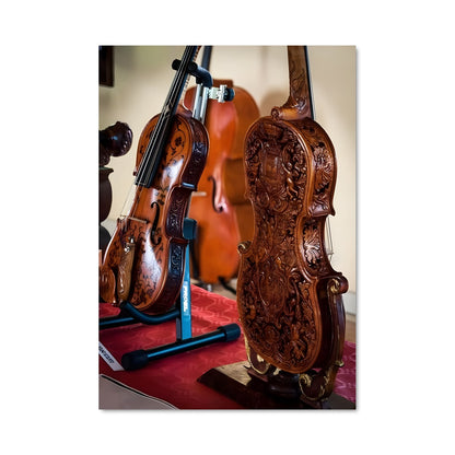 Poster Viola 46628