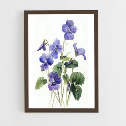 ap-violet-10 cadre Bois foncé
