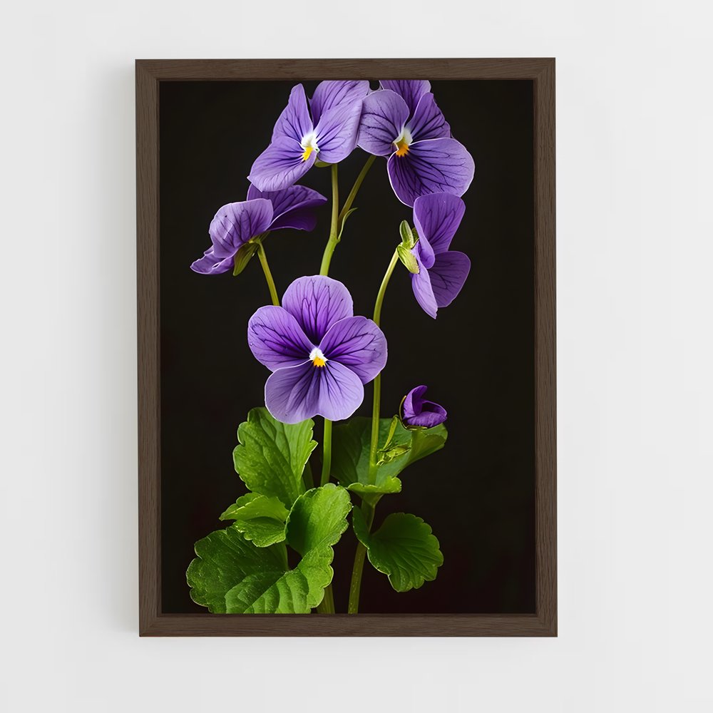 ap-violet-5 cadre Bois foncé