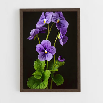 ap-violet-5 cadre Bois foncé