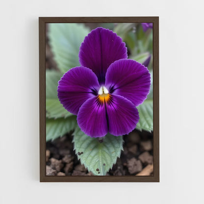ap-violet-7 cadre Bois foncé