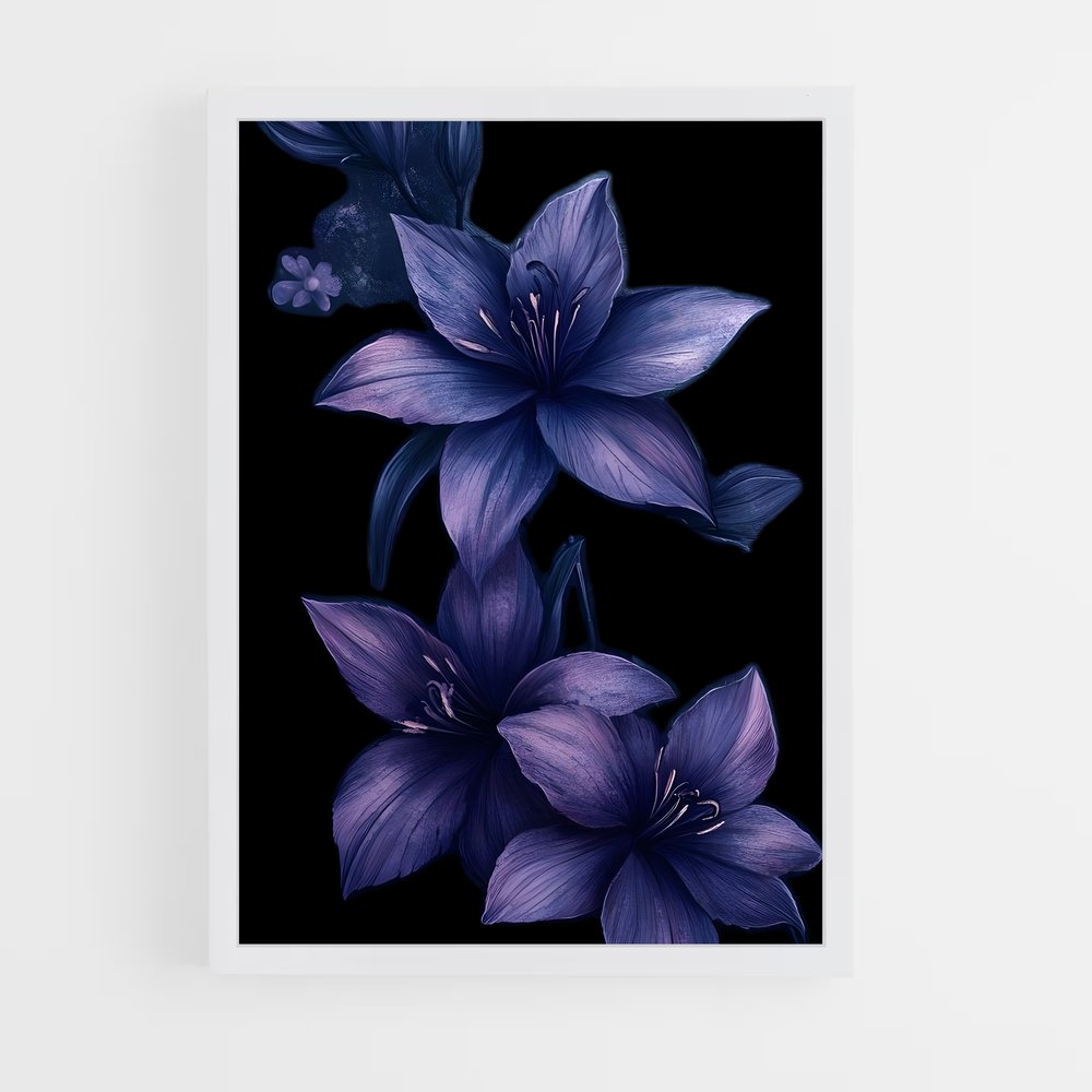 ap-violet-9 cadre Blanc