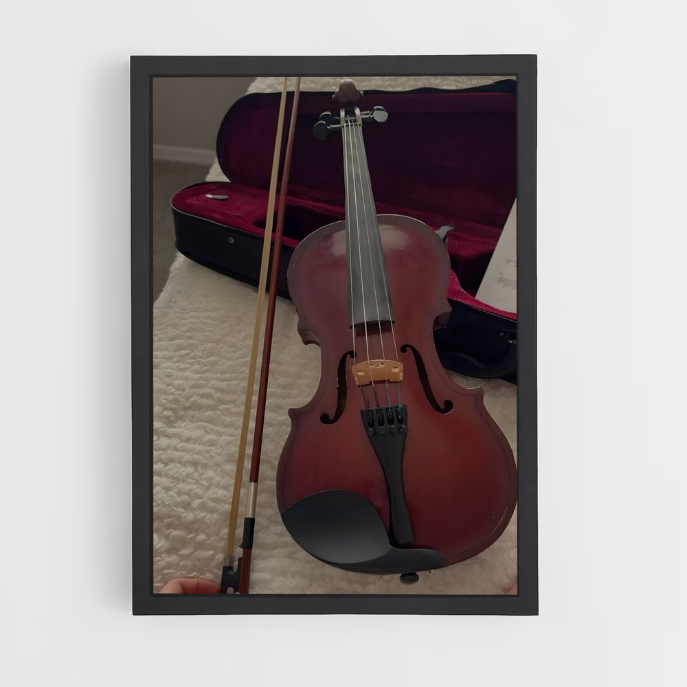 ap-violin-3 cadre Noir
