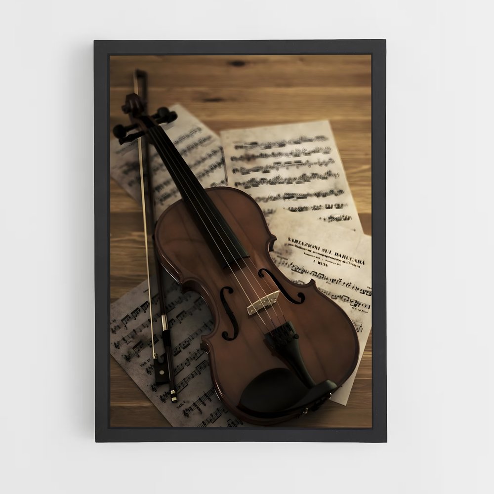ap-violin-6 cadre Noir