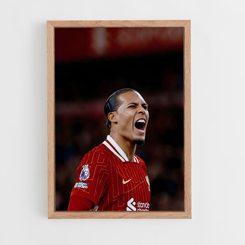 ap-virgil van dijk-1 cadre Bois clair