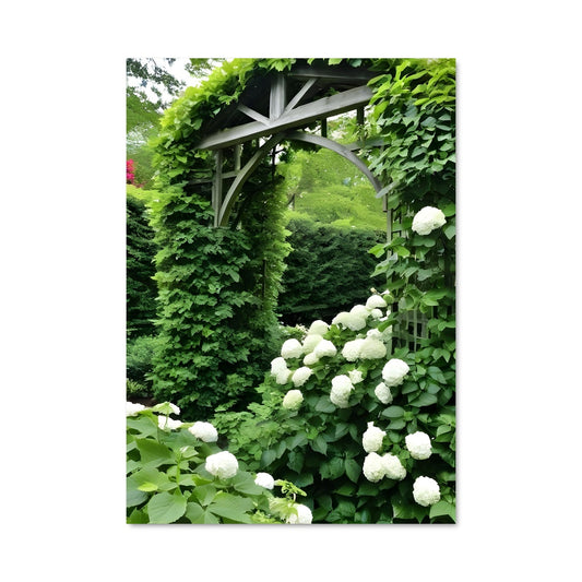 Poster Virginia creeper 97091