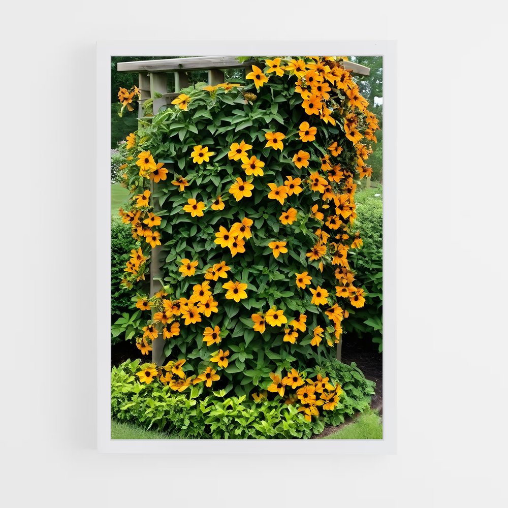 ap-virginia creeper-1 cadre Blanc