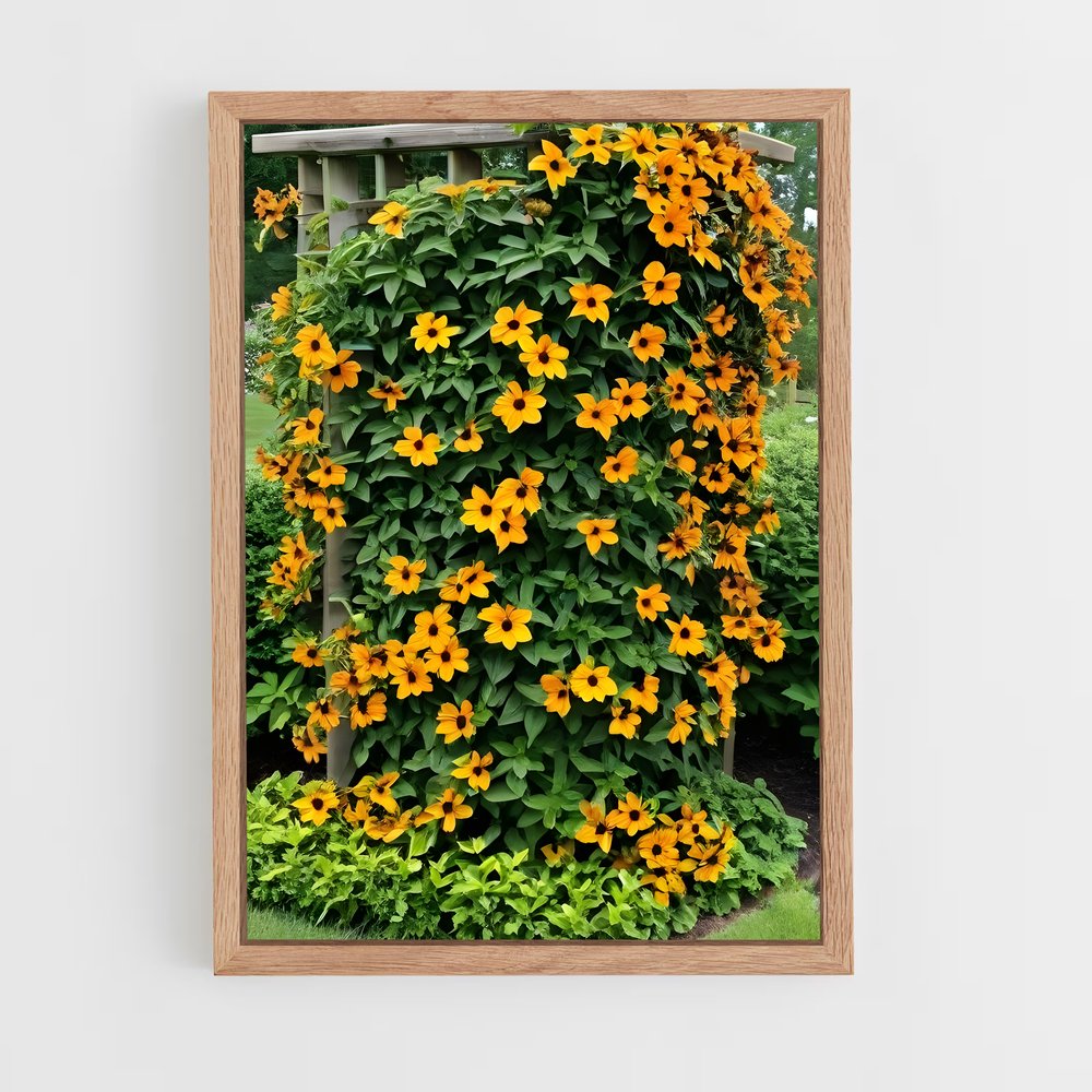 ap-virginia creeper-1 cadre Bois clair