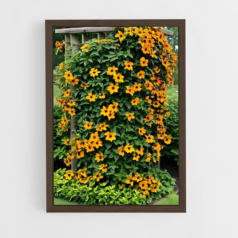 ap-virginia creeper-1 cadre Bois foncé
