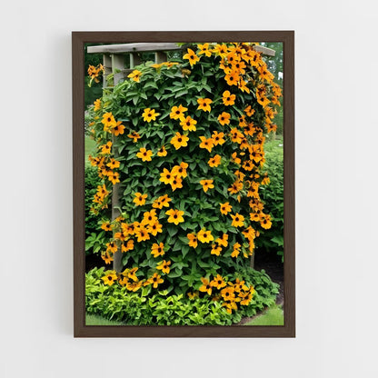 ap-virginia creeper-1 cadre Bois foncé