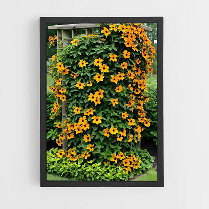 ap-virginia creeper-1 cadre Noir
