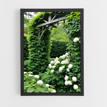 ap-virginia creeper-3 cadre Noir