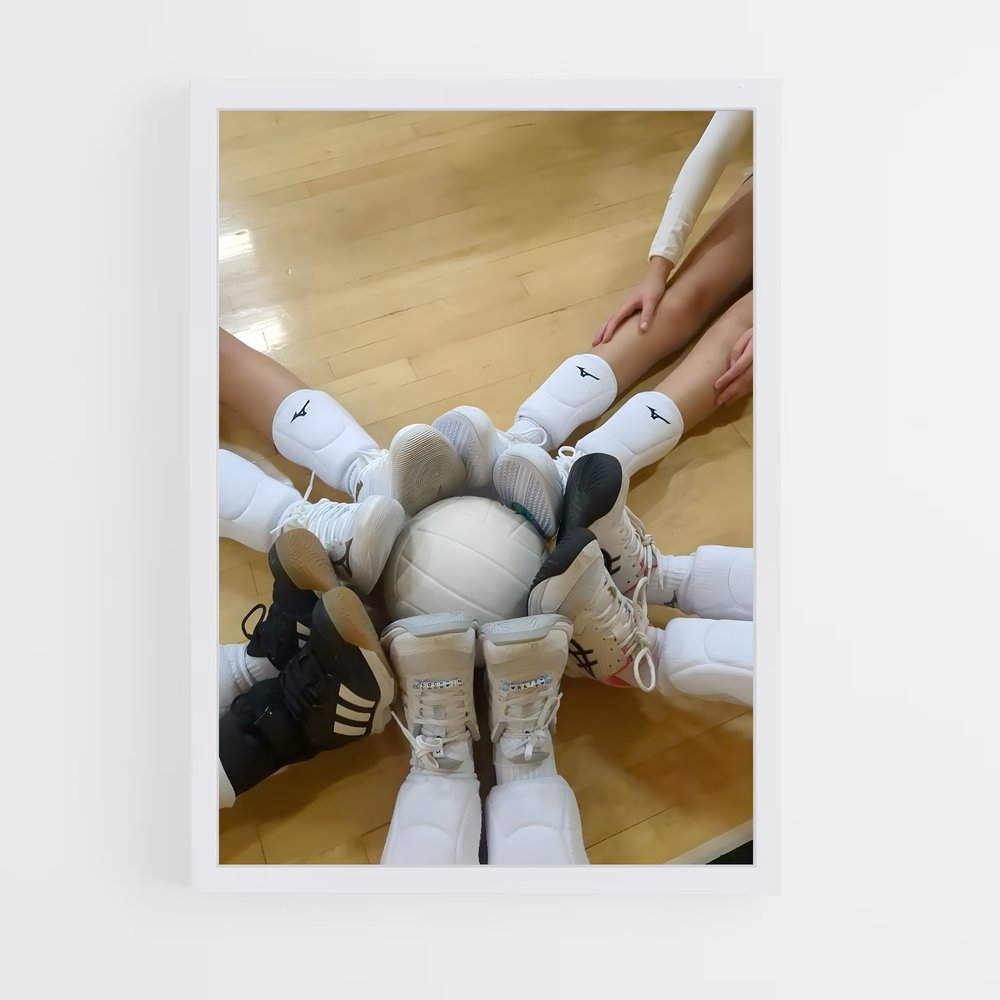 ap-volleyball-5 cadre Blanc