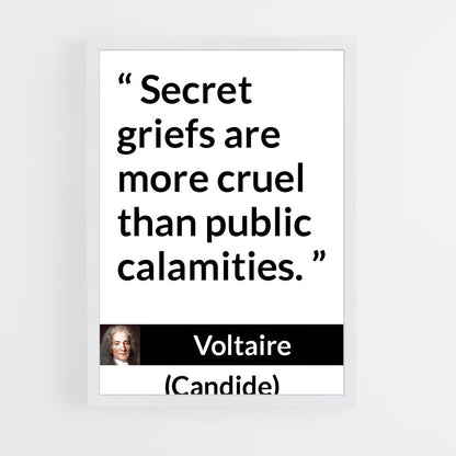 ap-voltaire-1 cadre Blanc