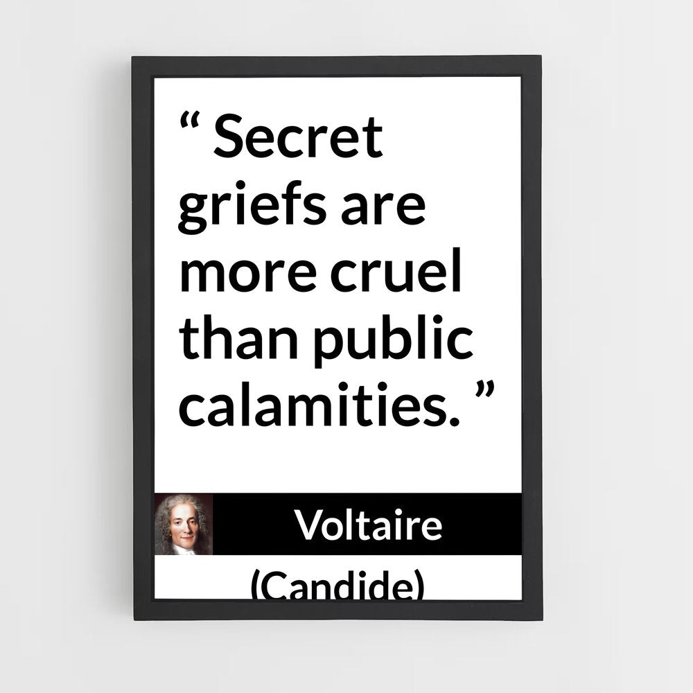 ap-voltaire-1 cadre Noir