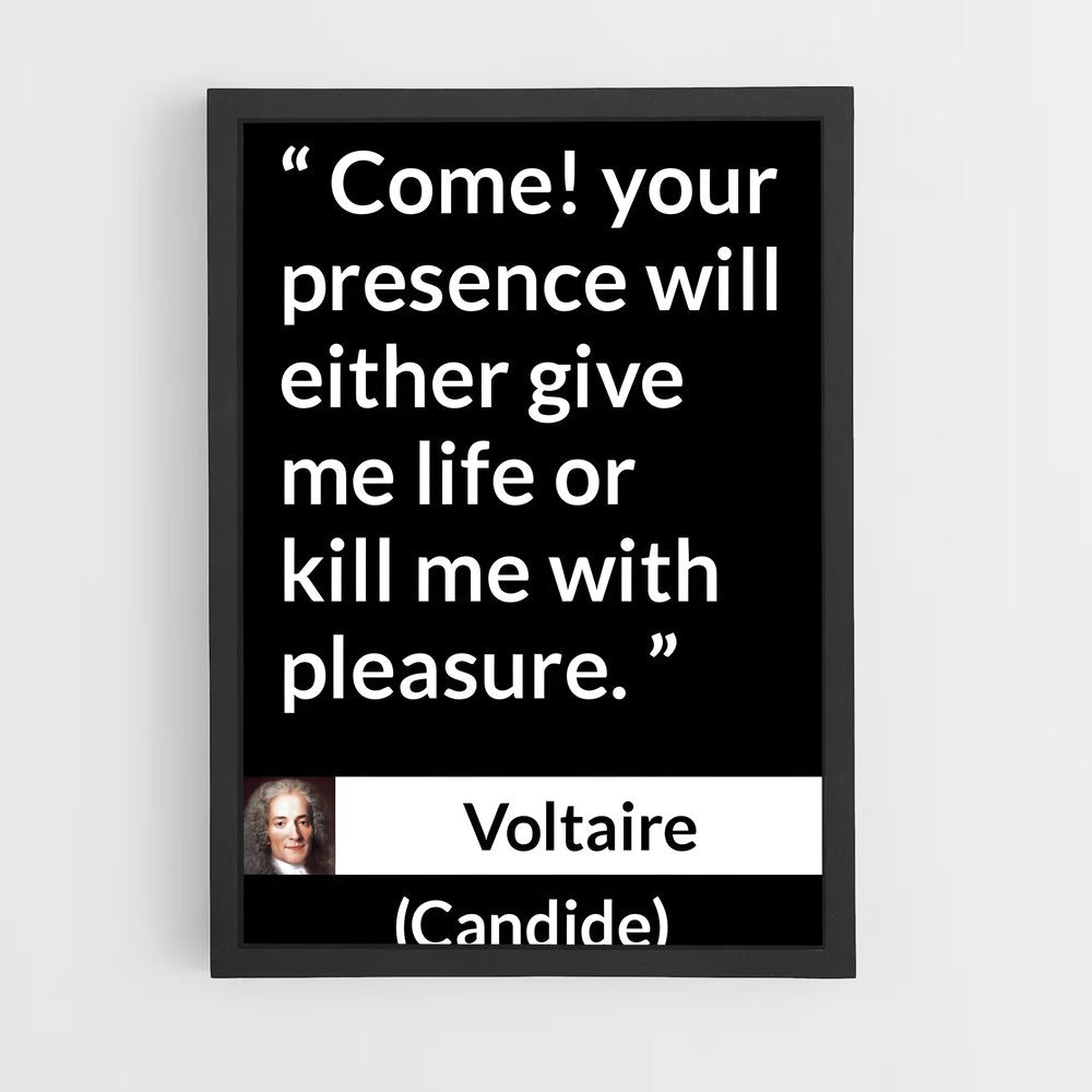 ap-voltaire-3 cadre Noir