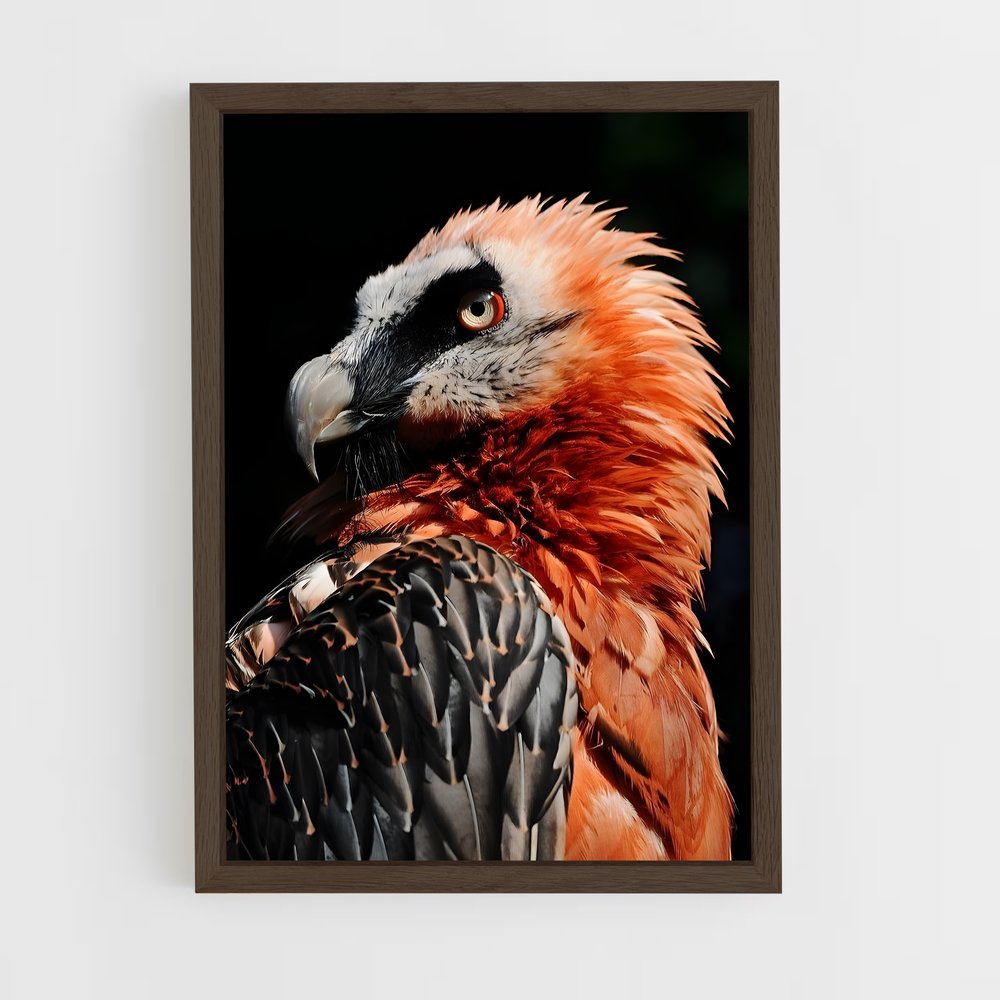ap-vulture-1 cadre Bois foncé